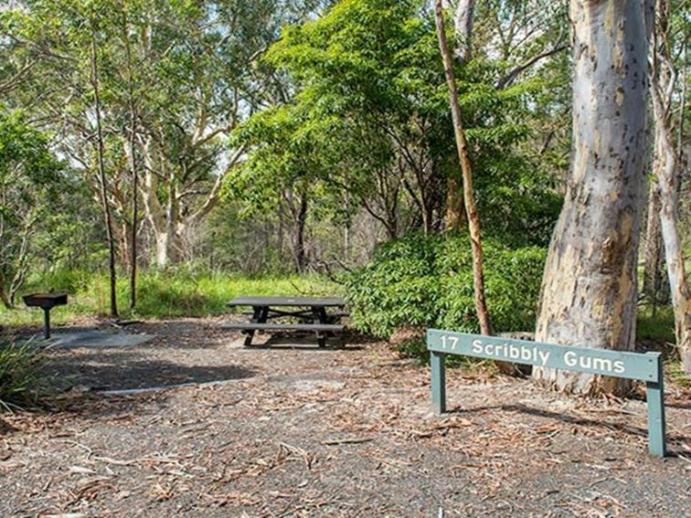 Halfway Point picnic area, Lane Cove National Park. Photo: John Spencer