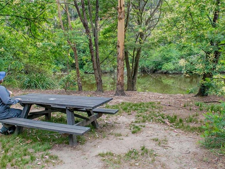 Halfway Point picnic area, Lane Cove National Park. Photo: John Spencer