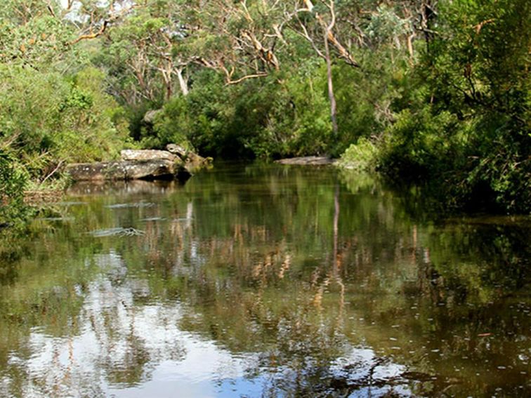 Heathcote Creek surrounded by bushland in Heathcote National Park. Photo: John Yurasek &copy; DPIE