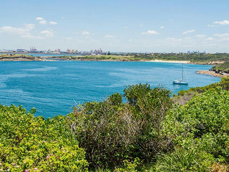 Henry Head walking track, Kamay Botany Bay National Park. Photo: John Spencer &copy; OEH