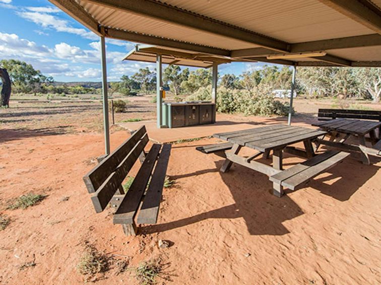 Homestead Creek campground, Mutawintji National Park. Photo: John Spencer