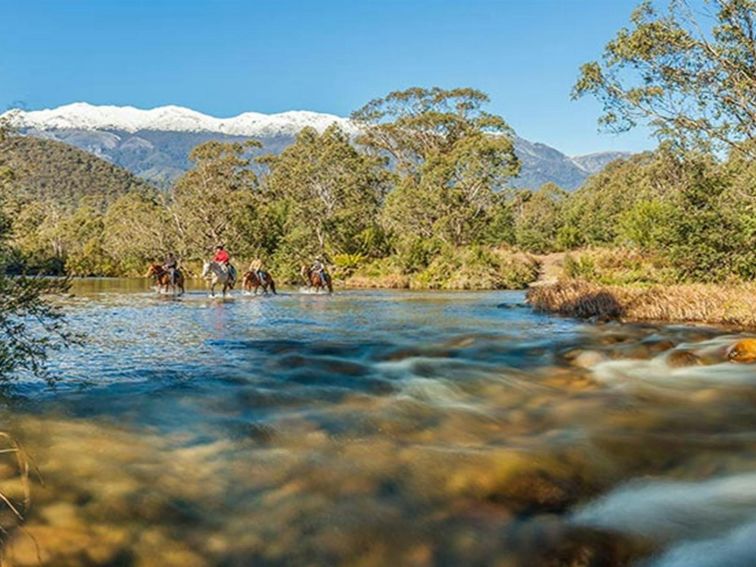 4 horse riders cross the Swampy Plain River, near Behrs Flat in Geehi Valley, Kosciuszko National