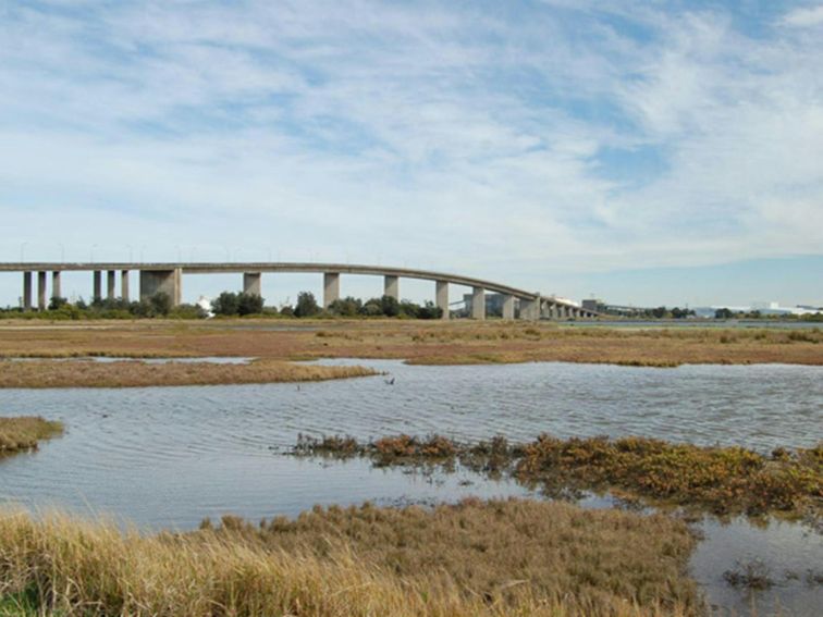 Stockton Sandpit, Hunter Wetlands National Park. Photo: Susan Davis/OEH