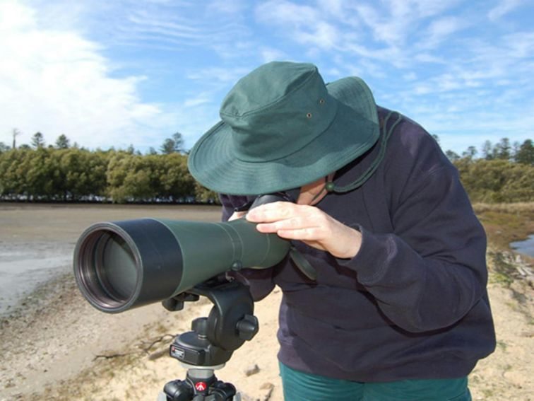 Stockton Sandpit Lookout, Hunter Wetlands National Park. Photo: Susan Davis/OEH