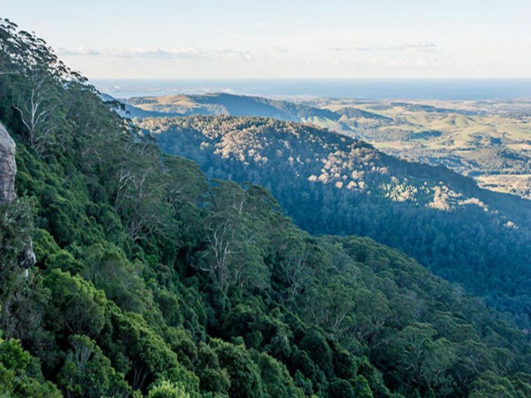 Jamberoo lookout, Budderoo National Park. Photo credit: Michael Van Ewijk &copy; DPIE