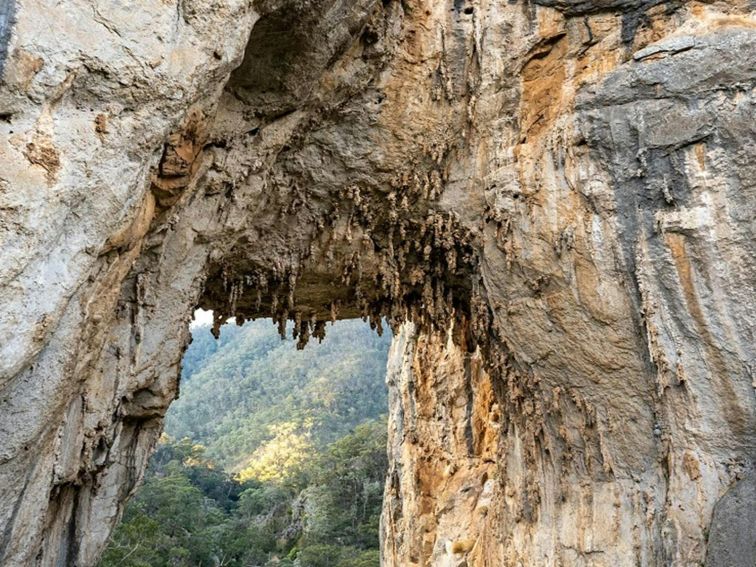 The rocky face of Carlotta Arch, Jenolan Karst Conservation Reserve. Photo: Jenolan Caves &copy; DPE