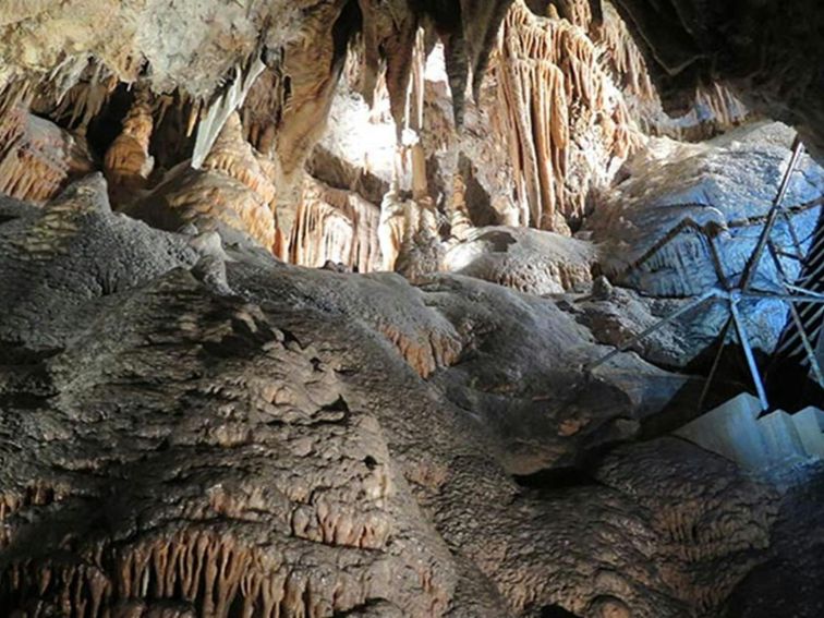 Jersey Cave at Yarrangobily Caves in Kosciuszko National Park. Photo: Elinor Sheargold &copy; OEH