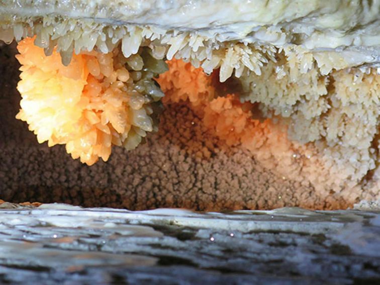 Jersey Cave decorations, at Yarrangobilly Caves in Kosciuszko National Park. Photo: Elinor Sheargold