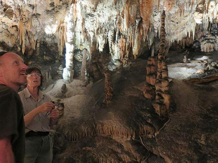 Jersey Cave tour at Yarrangobilly Caves, Kosciuszko National Park. Photo: Elinor Sheargold &copy;