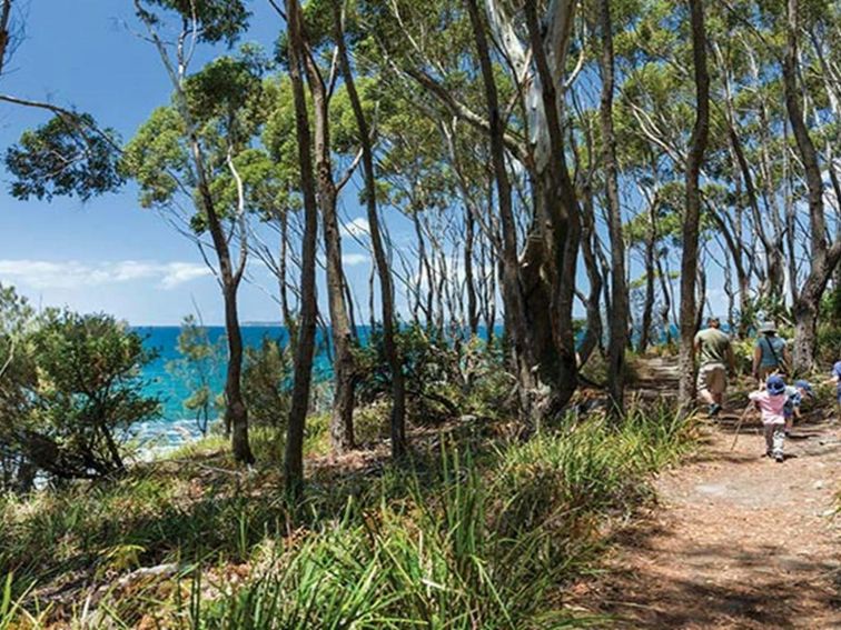 A family walk along Scribbly Gum track, Jervis Bay National Park. Photo: David Finnegan &copy; DPIE