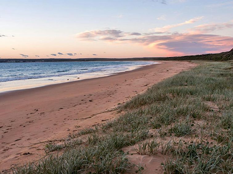 Sunrise over the beach at Hammerhead Point in Jervis Bay National Park. Photo: Michael Van Ewijk