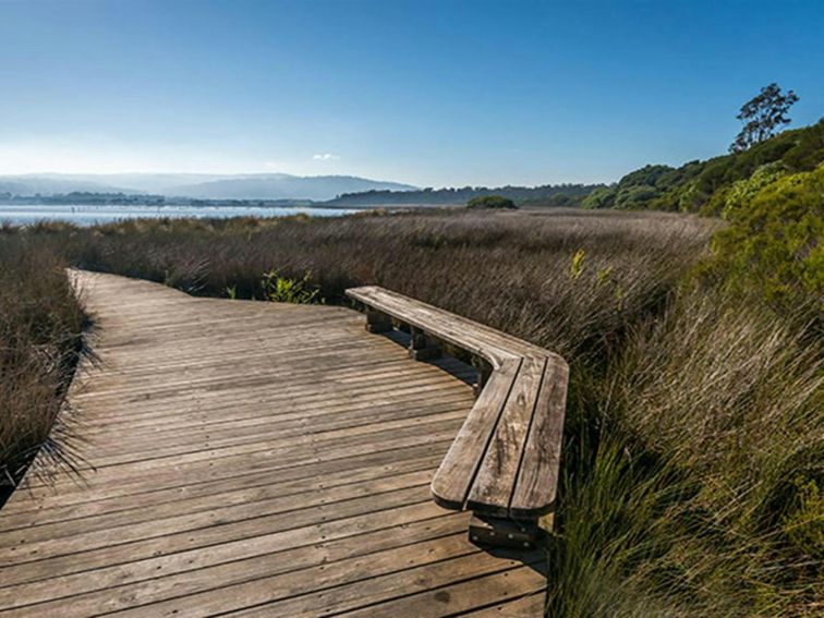 Jewfish walk, Nadgee Nature Reserve. Photo: John Spencer &copy; OEH