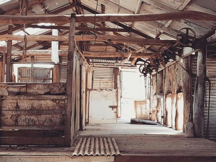 An old woolshed, Kalyarr National Park. Photo: Samantha Ellis &copy; DPIE