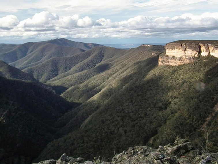 Views from Kanangra-Boyd lookout, Kanangra-Boyd National Park. Photo: Jules Bros &copy; DPIE