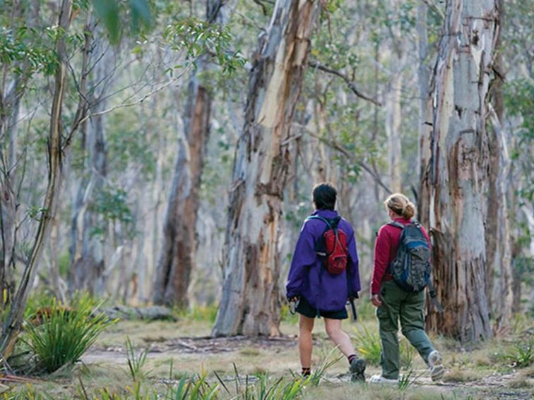 Two people walk on Morong Falls trail, Kanangra-Boyd National Park. Photo: Nick Cubbin &copy; DPIE