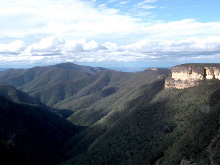 Kanangra-Boyd Lookout, Kanangra-Boyd National Park. Photo: Jules Bros/NSW Government