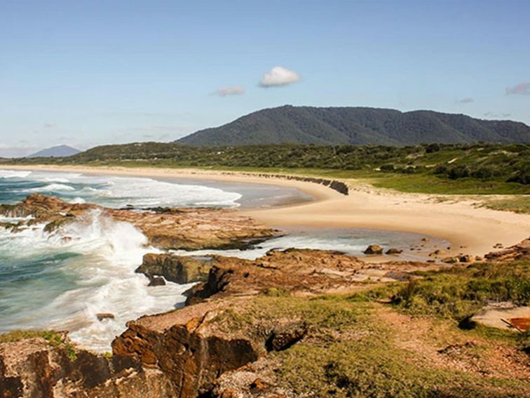 Kattang Nature Reserve: Photo: NSW Government