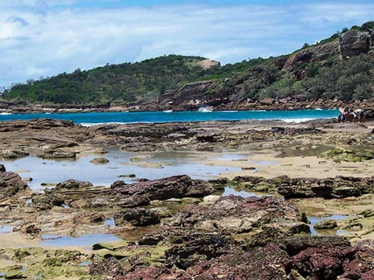 Kattang Nature Reserve: Photo: NSW Government