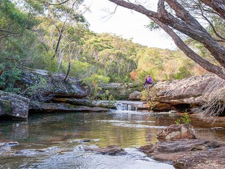 Kingfisher Pool picnic area, Heahtcote National Park. Photo: Nick Cubbin &copy; OEH