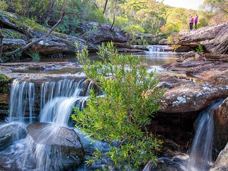 Kingfisher Pool picnic area, Heahtcote National Park. Photo: Nick Cubbin &copy; OEH