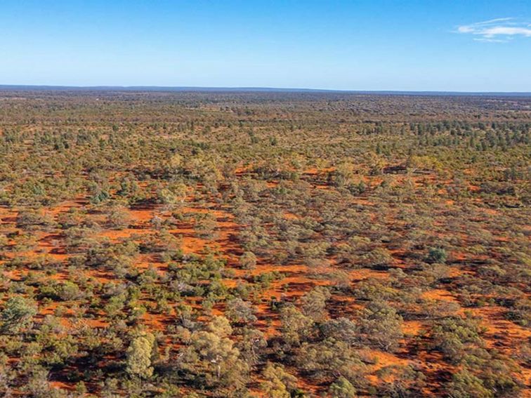 Aerial view of Koonaburra National Park. Photo: Joshua Smith &copy; DPE