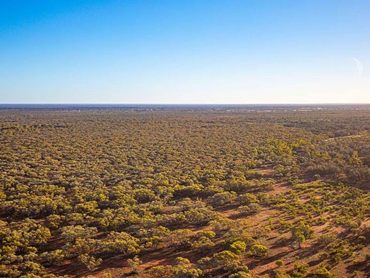 Aerial view of Koonaburra National Park. Photo: Joshua Smith &copy; DPE