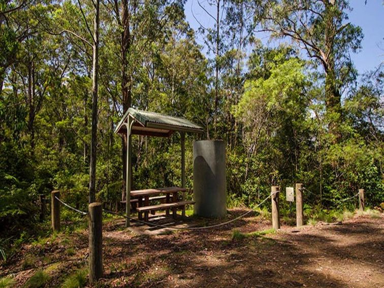 Lagoon Pinch picnic area, Barrington Tops National Park. Photo: John Spencer/NSW Government