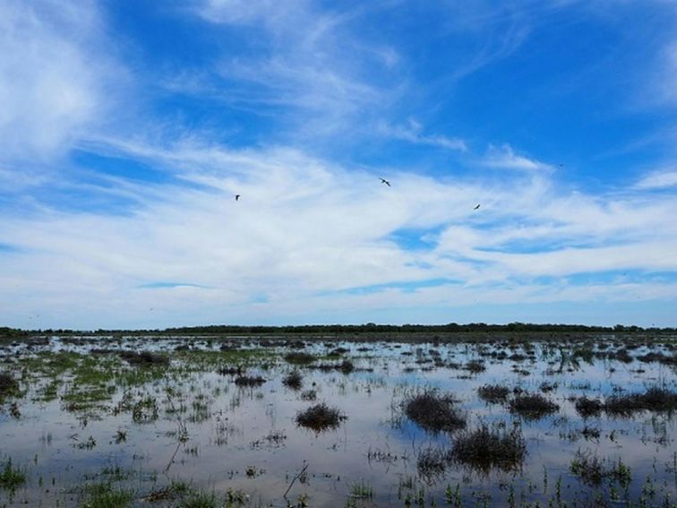 Lake Ita under a blue sky, Kalyarr National Park. Photo: Jess Murphy &copy; DPE