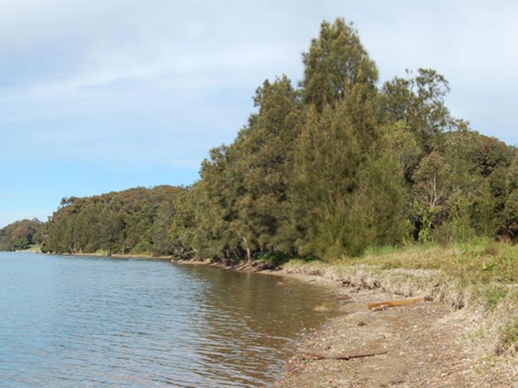 Alexanders picnic area, Lake Macquarie State Conservation Area. Photo: Susan Davis/NSW Government