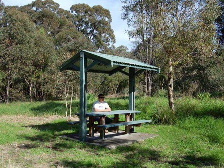 Alexanders picnic area, Lake Macquarie State Conservation Area. Photo: Susan Davis/NSW Government