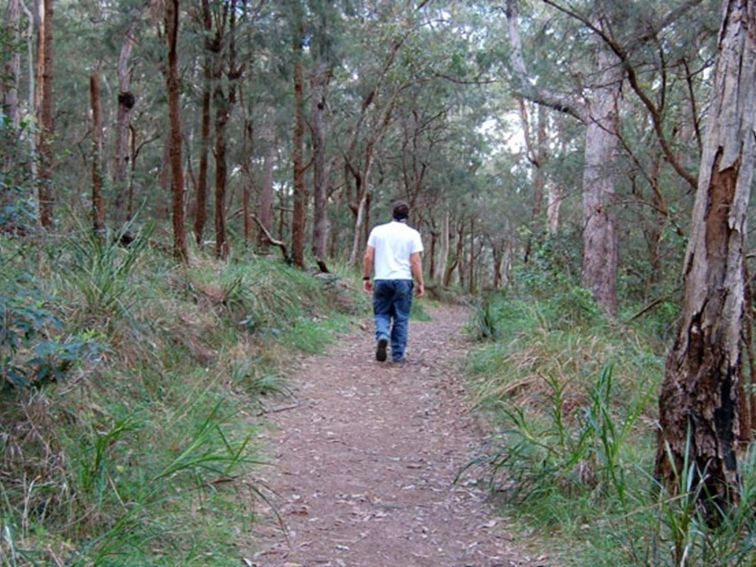 Wangi circuit walking track, Lake Macquarie State Conservation Area. Photo: Susan Davis/NSW