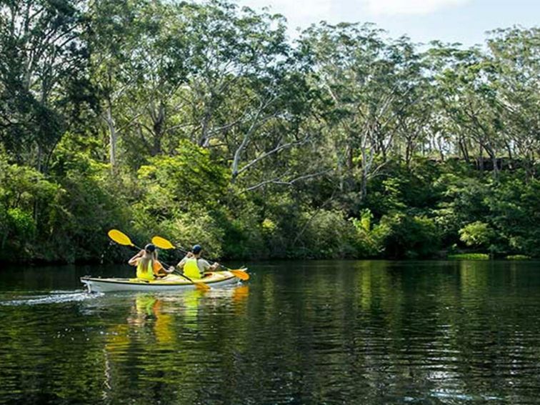 People kayaking on Lane Cove River, Lane Cove National Park. Photo: OEH/Caravel Content