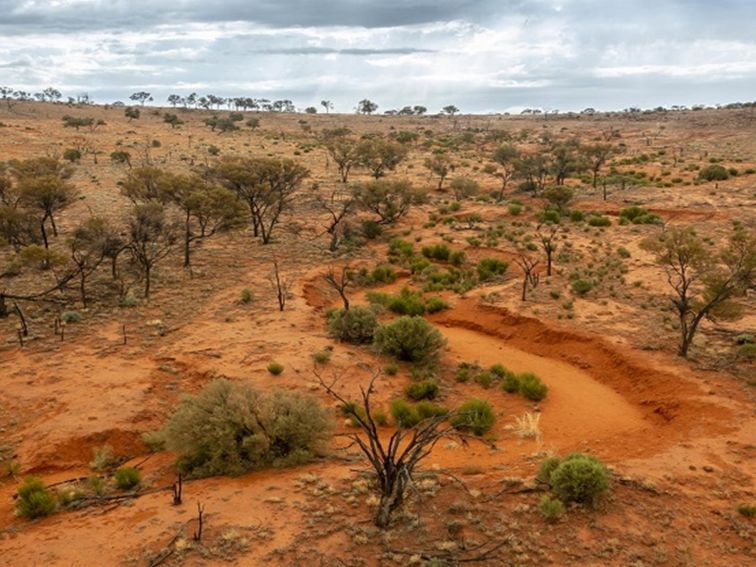 Creek line in Langidoon Metford State Conservation Area. Photo: John Spencer © DPE