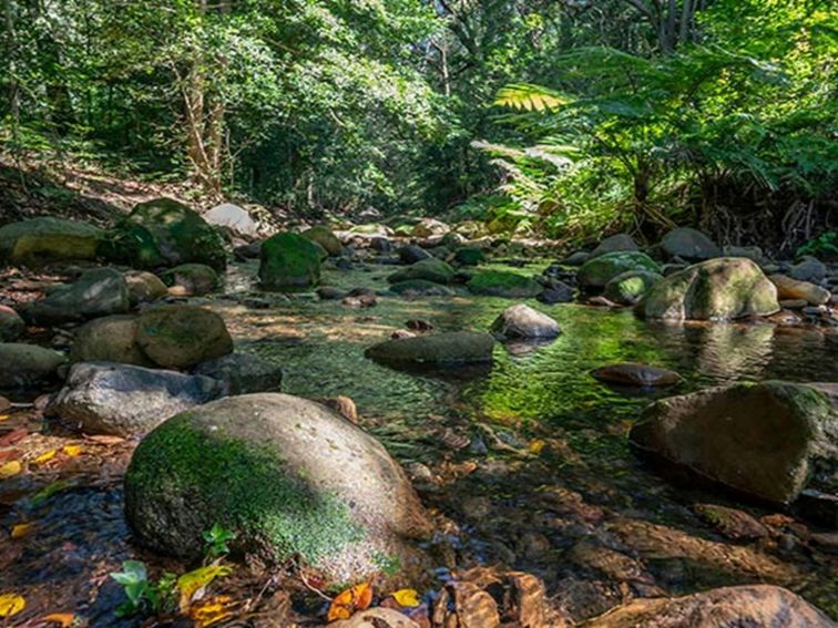 A rocky creek in Macquarie Pass National Park. Photo: John Spencer &copy; DPIE