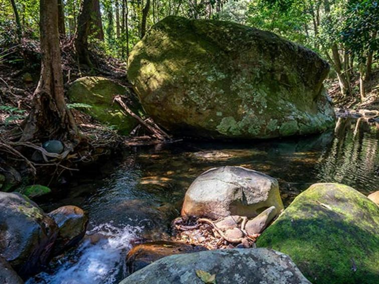 Moss-covered rocks in a creek in Macquarie Pass National Park. Photo: John Spencer &copy; DPIE