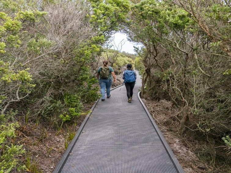 Walkers in Malabar Headland National Park. Photo: John Spencer &copy; DPE