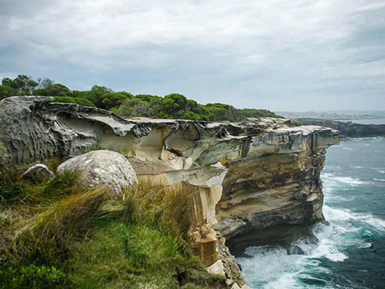 Dramatic sandstone cliffs, Malabar Headland National Park. Photo: Chad Weston/OEH