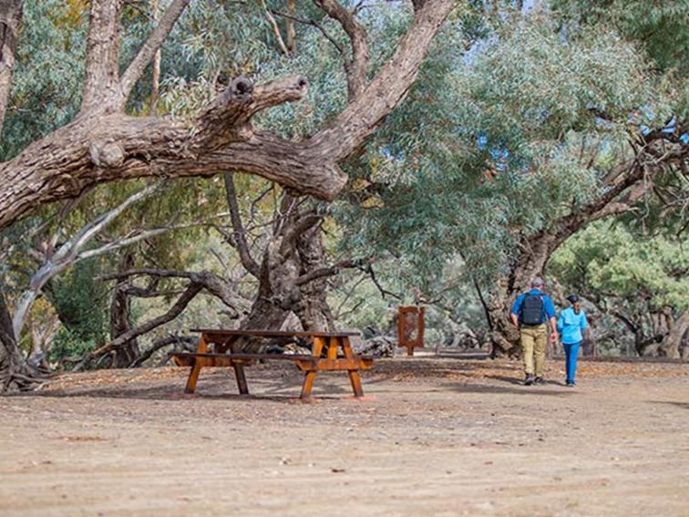 A father and daughter at Many Big Rocks picnic area, Toorale National Park. Photo: Joshua Smith/OEH