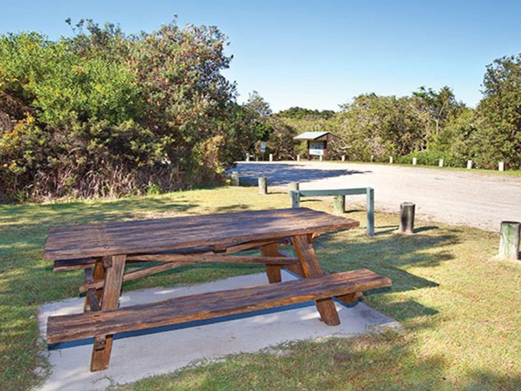 Mara Creek picnic area, Yuraygir National Park. Photo: Rob Cleary &copy; OEH