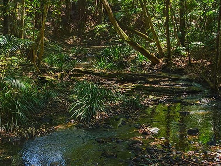 Middle Brother National Park. Photo: John Spencer/NSW Government