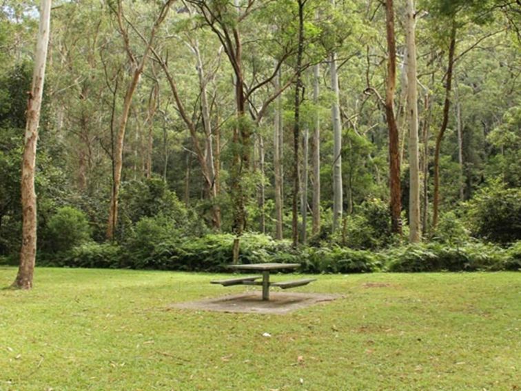 Mill Creek picnic area, Dharug National Park. Photo: John Yurasek &copy; OEH