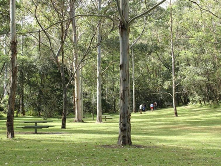 Mill Creek picnic area, Dharug National Park. Photo: John Yurasek &copy; OEH