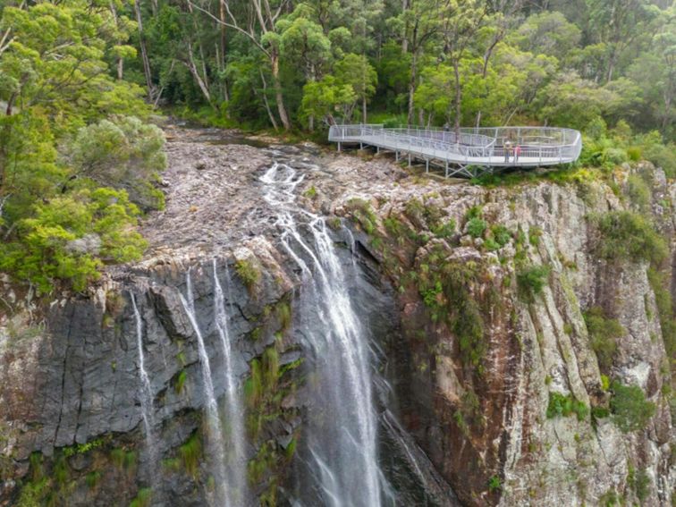 View of Minyon Falls and the lookout in Nightcap National Park. Credit: John Spencer &copy; DPE