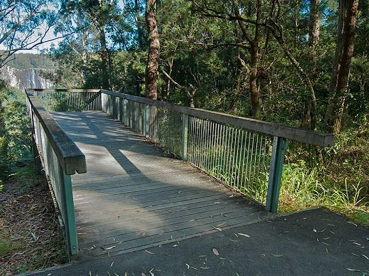 Minyon Grass picnic area, Nightcap National Park. Photo: Brian McLachlan  &copy; DPIE