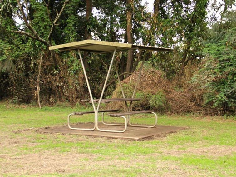 Mitchell Park picnic area. Photo: John Yurasek/OEH