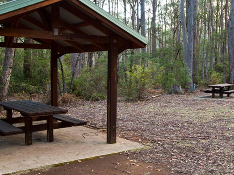 Mongarlowe River picnic area shelters, Monga National Park. Photo: Lucas Boyd &copy; DPIE