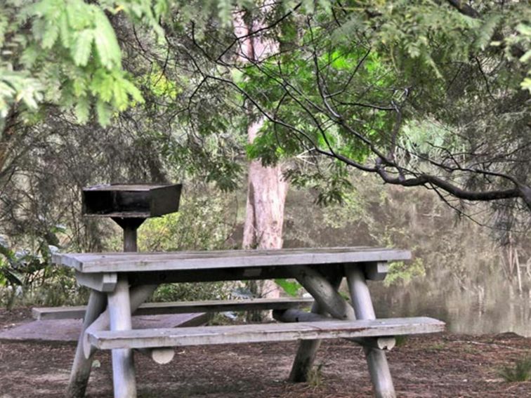 Moola picnic area, Lane Cove National Park. Photo: Kevin McGrath &copy; OEH