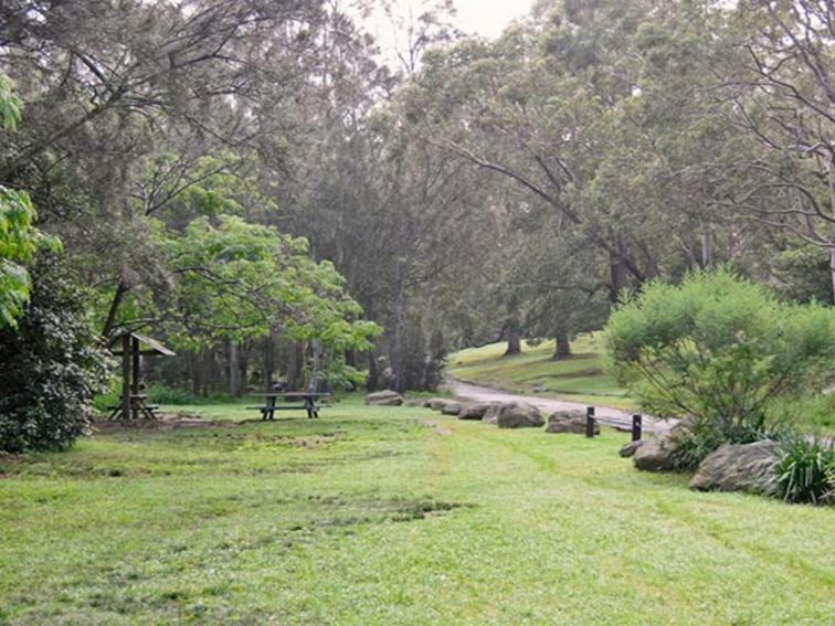 Moola picnic area, Lane Cove National Park. Photo: Kevin McGrath &copy; OEH