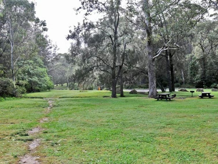 Moola picnic area, Lane Cove National Park. Photo: Kevin McGrath &copy; OEH