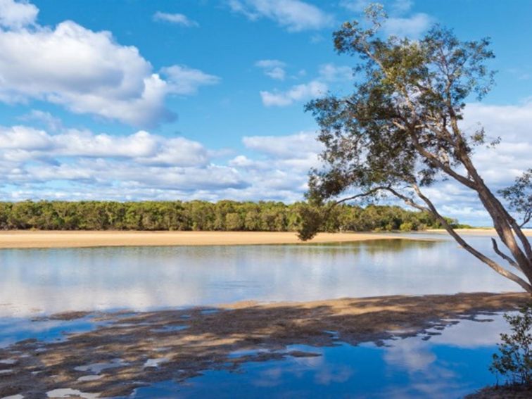 Moonee Creek in Moonee Beach Nature Reserve. Photo: Rob Cleary &copy; OEH